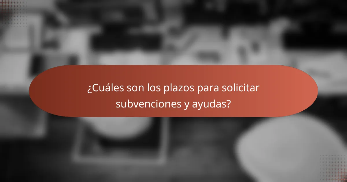 ¿Cuáles son los plazos para solicitar subvenciones y ayudas?
