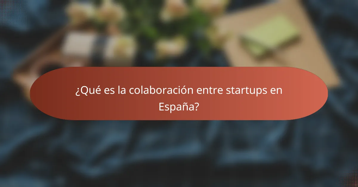 ¿Qué es la colaboración entre startups en España?