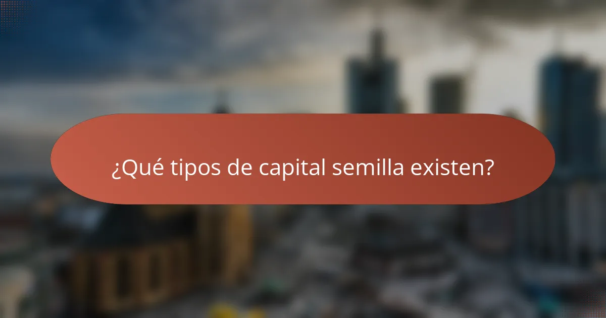 ¿Qué tipos de capital semilla existen?